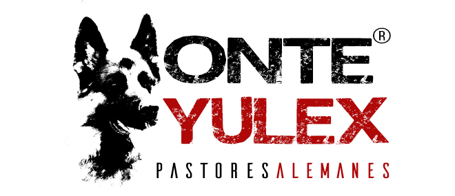 Logo.Pastor aleman. Monte Yulex Criador de pastores alemanes